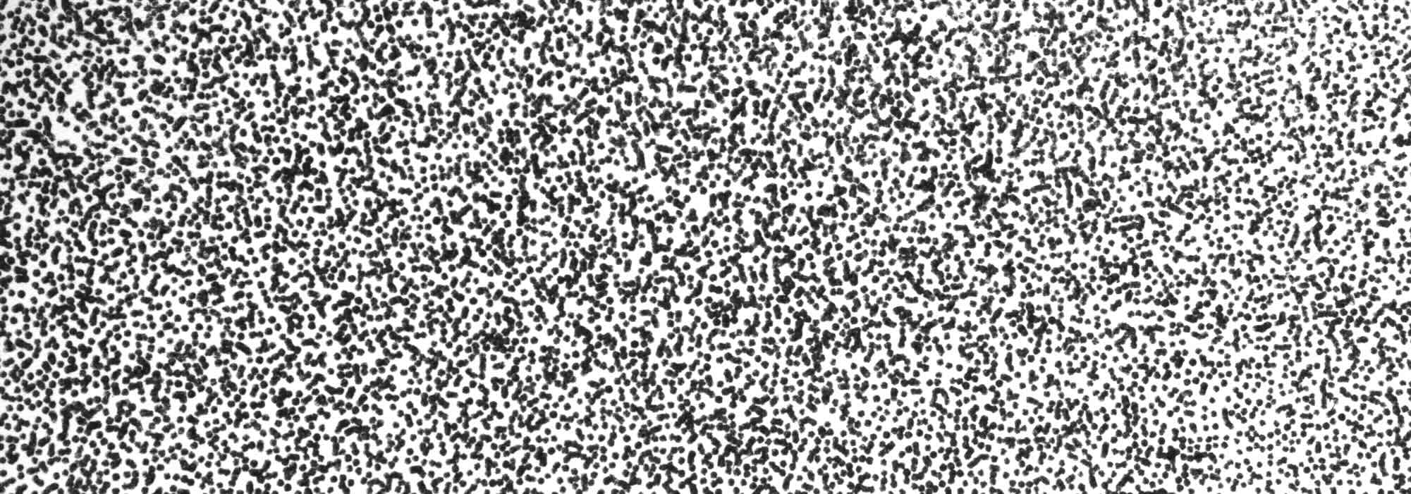 Microstamp Patterning Close-Up